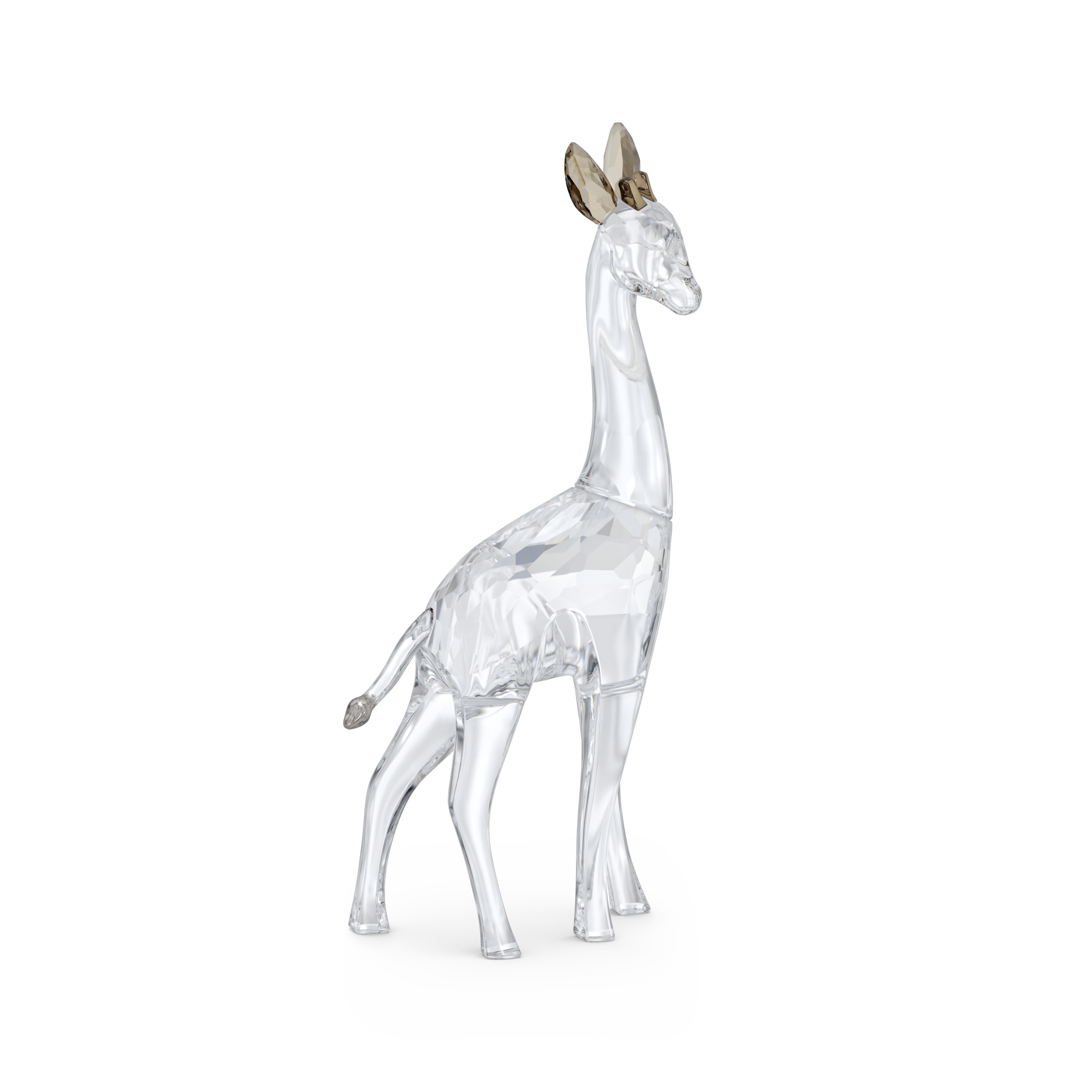 AFRICAN SUNSET:GIRAFFE