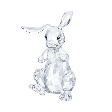 RABBIT
