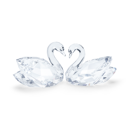 SWAN COUPLE