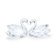SWAN COUPLE