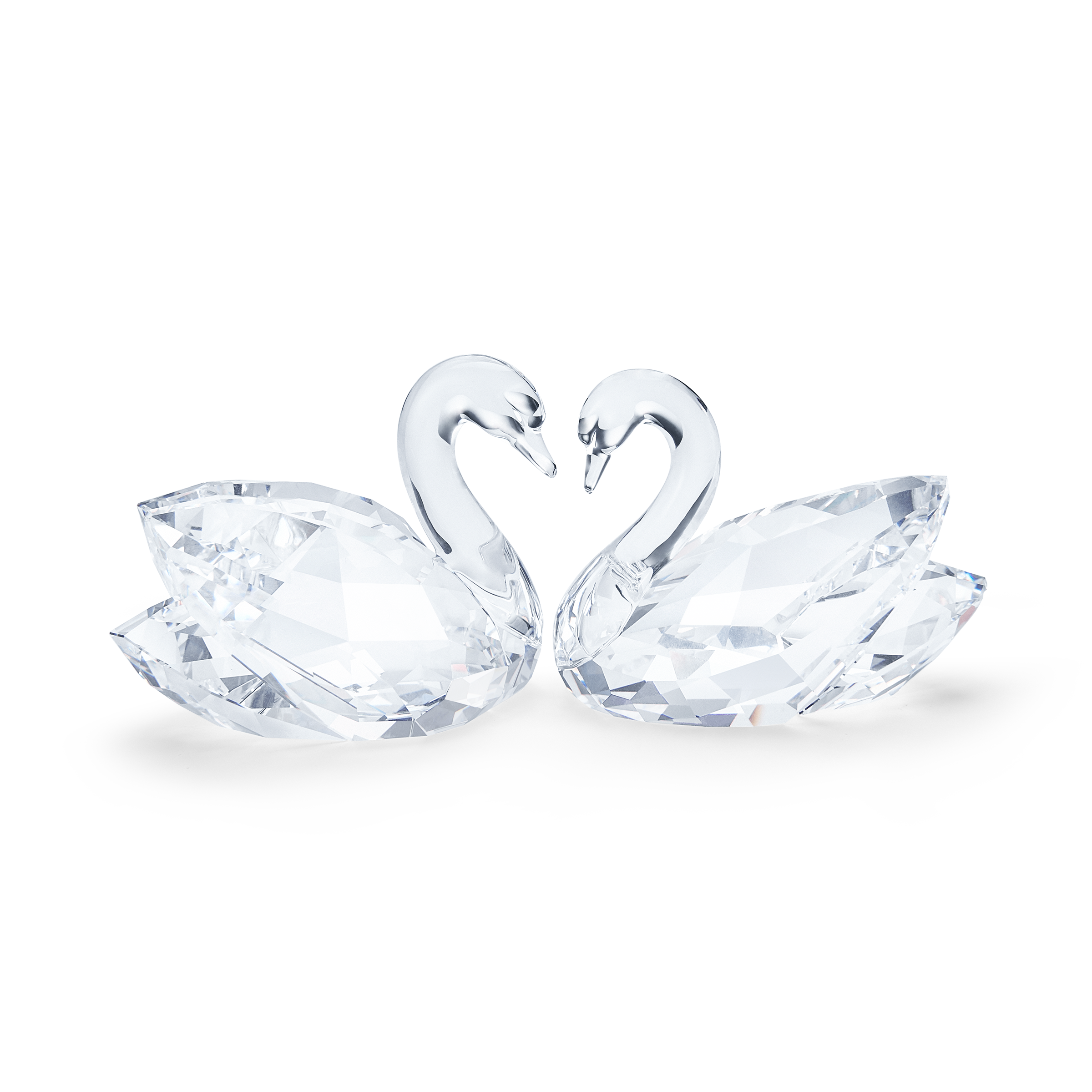 SWAN COUPLE