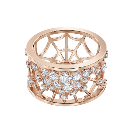 PRECISELY:RING CZWH/ROS 50