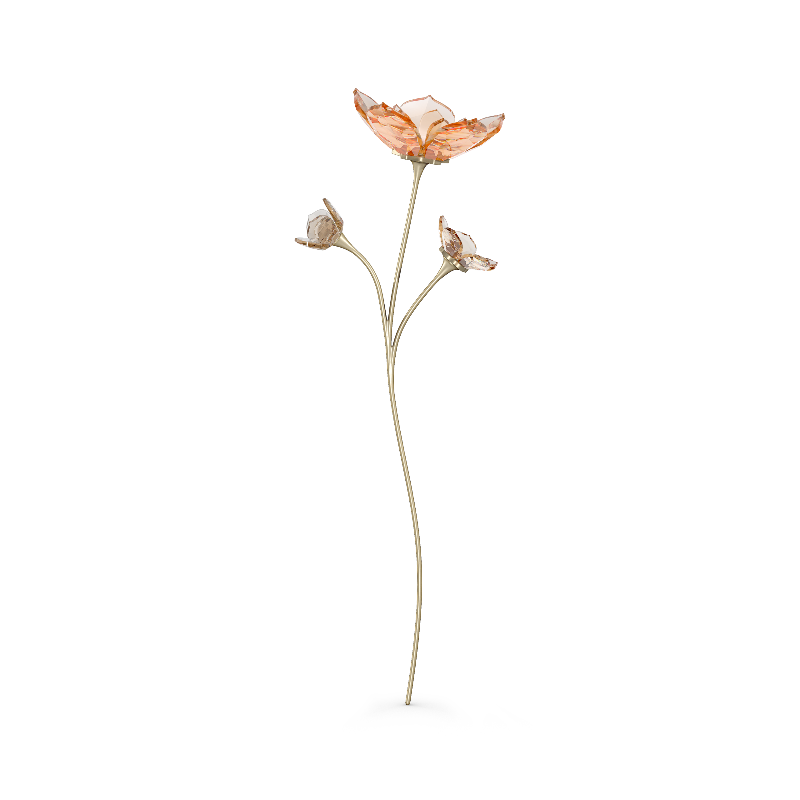 GARDEN TALES:MAGNOLIA