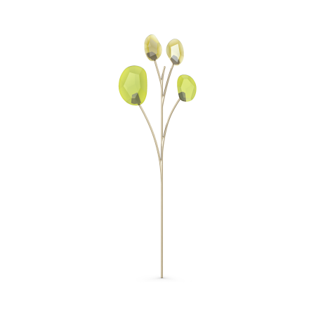 GARDEN TALES:EUCALYPTUS