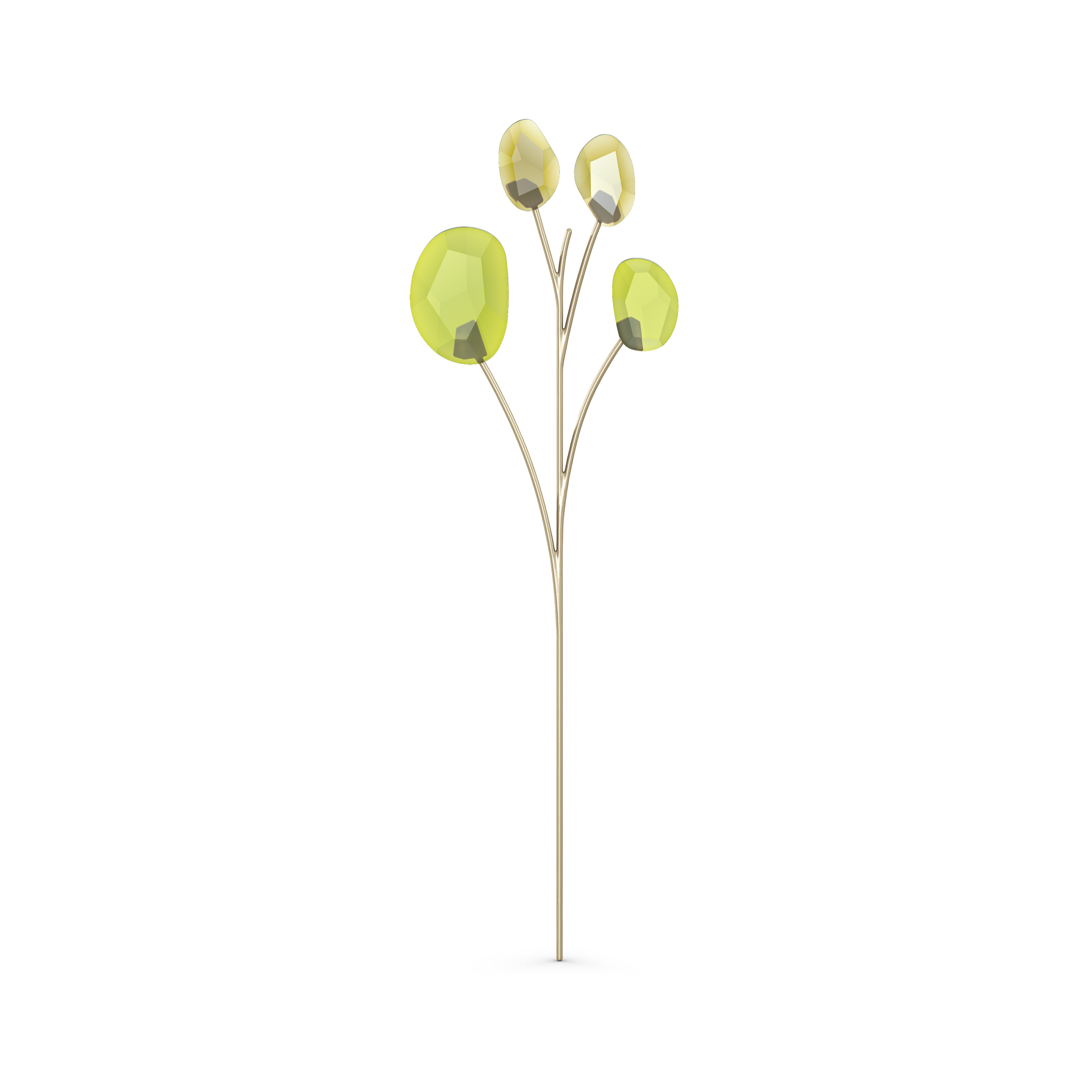 GARDEN TALES:EUCALYPTUS