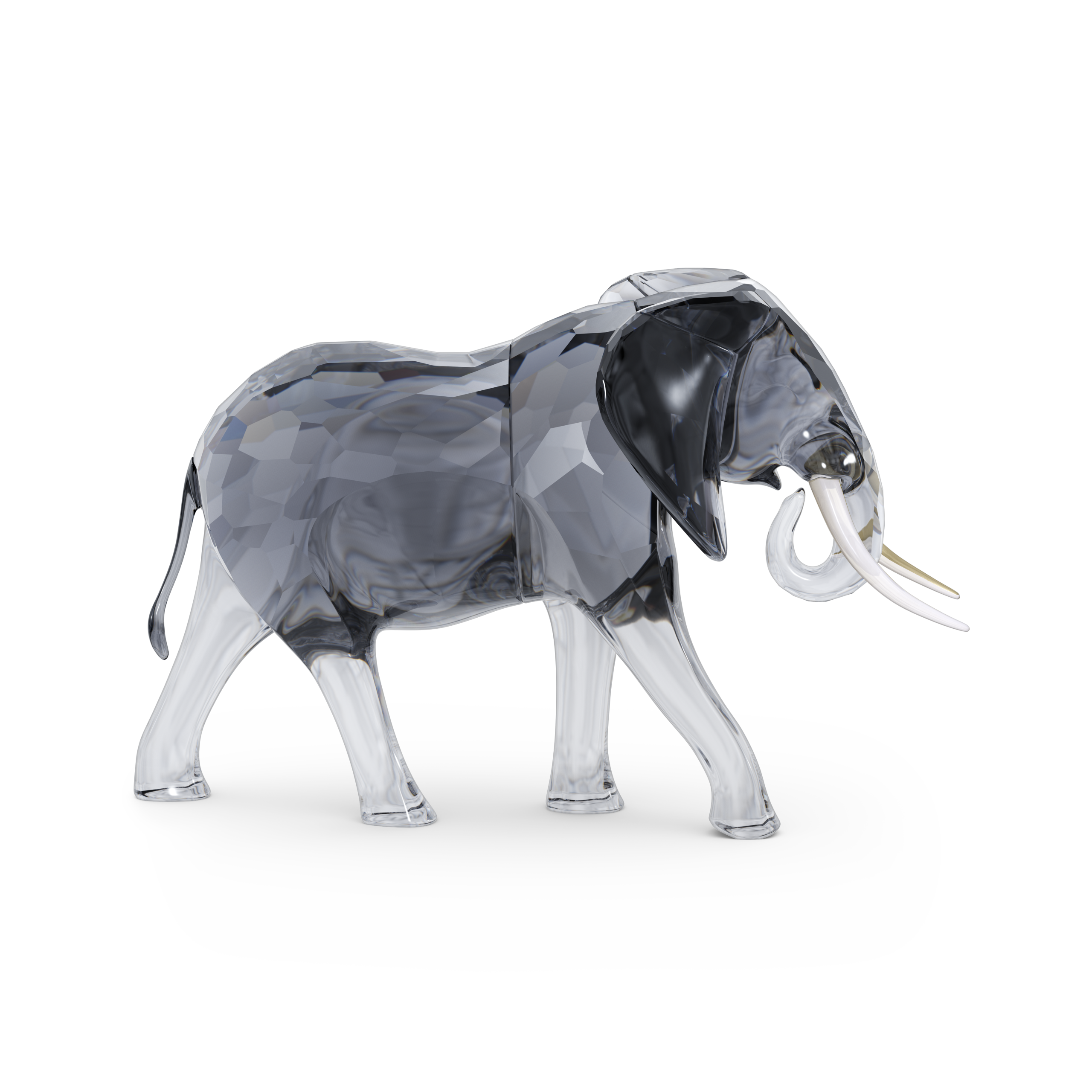 ELEGANCE OF AFRICA:ELEPHANT BULL