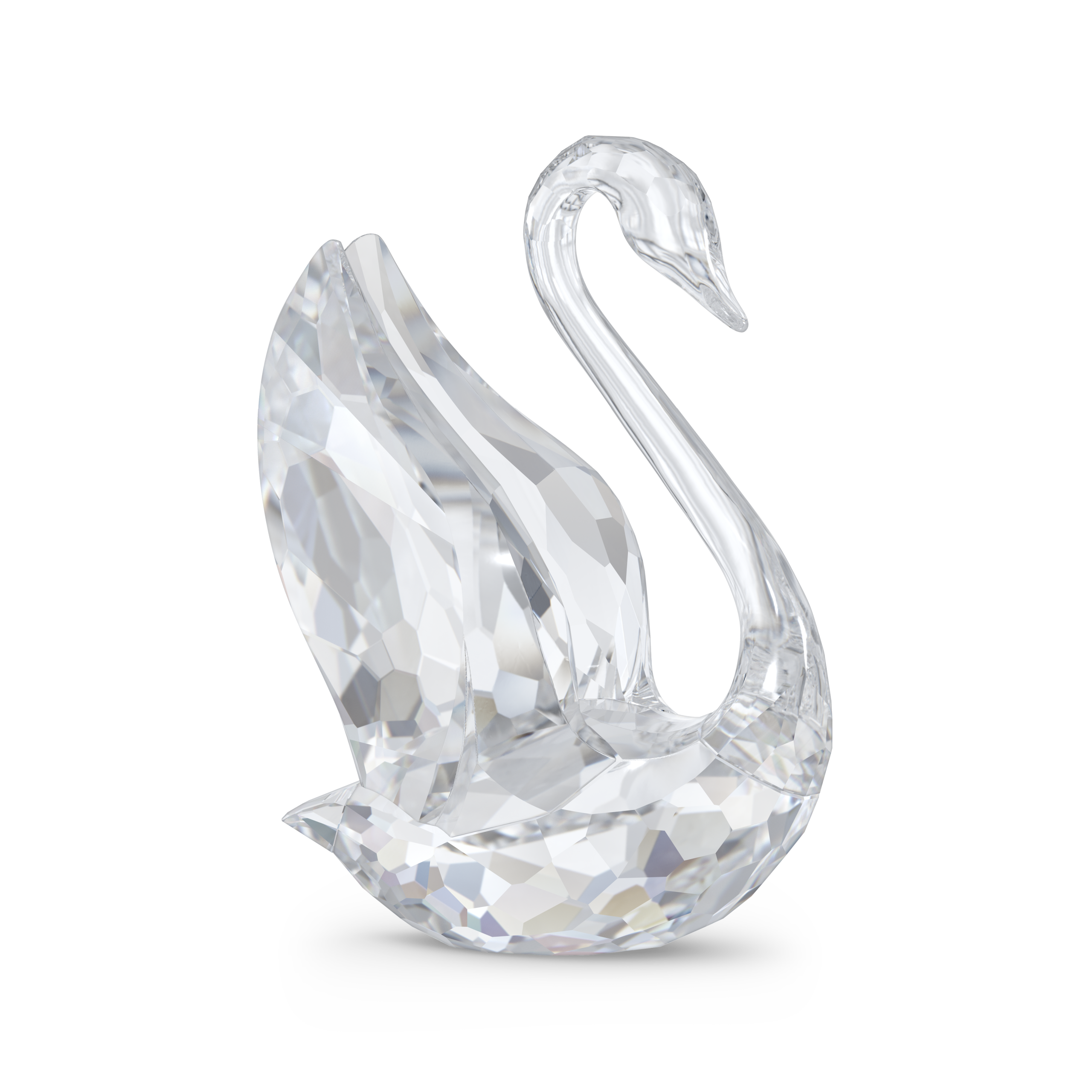 ICONIC SWAN: SWAN