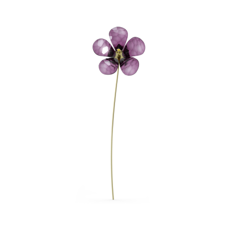 GARDEN TALES: HIBISCUS