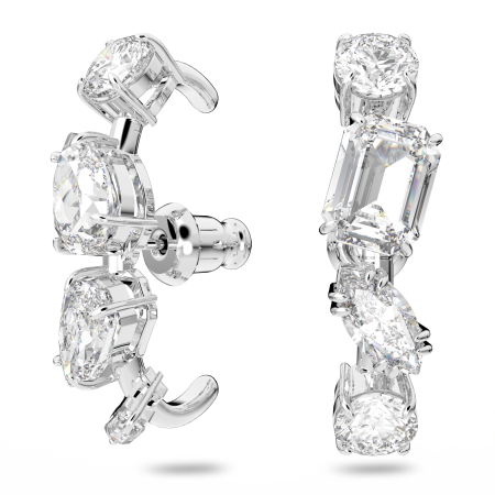 GEMA:PE LOBE CRY/RHS