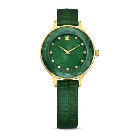 OCTEA NOVA:EMERA/EMER/PGO