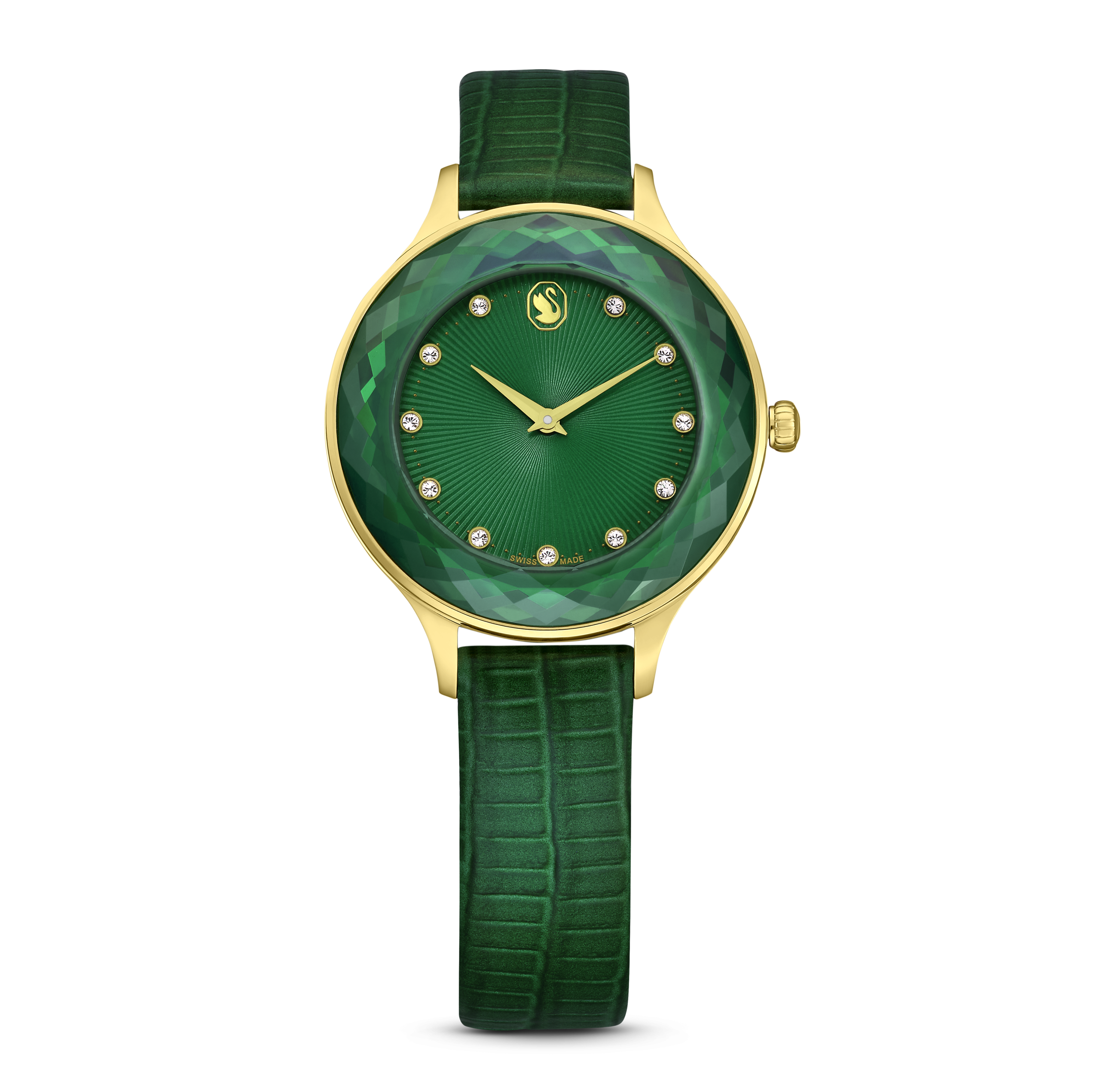 OCTEA NOVA:EMERA/EMER/PGO