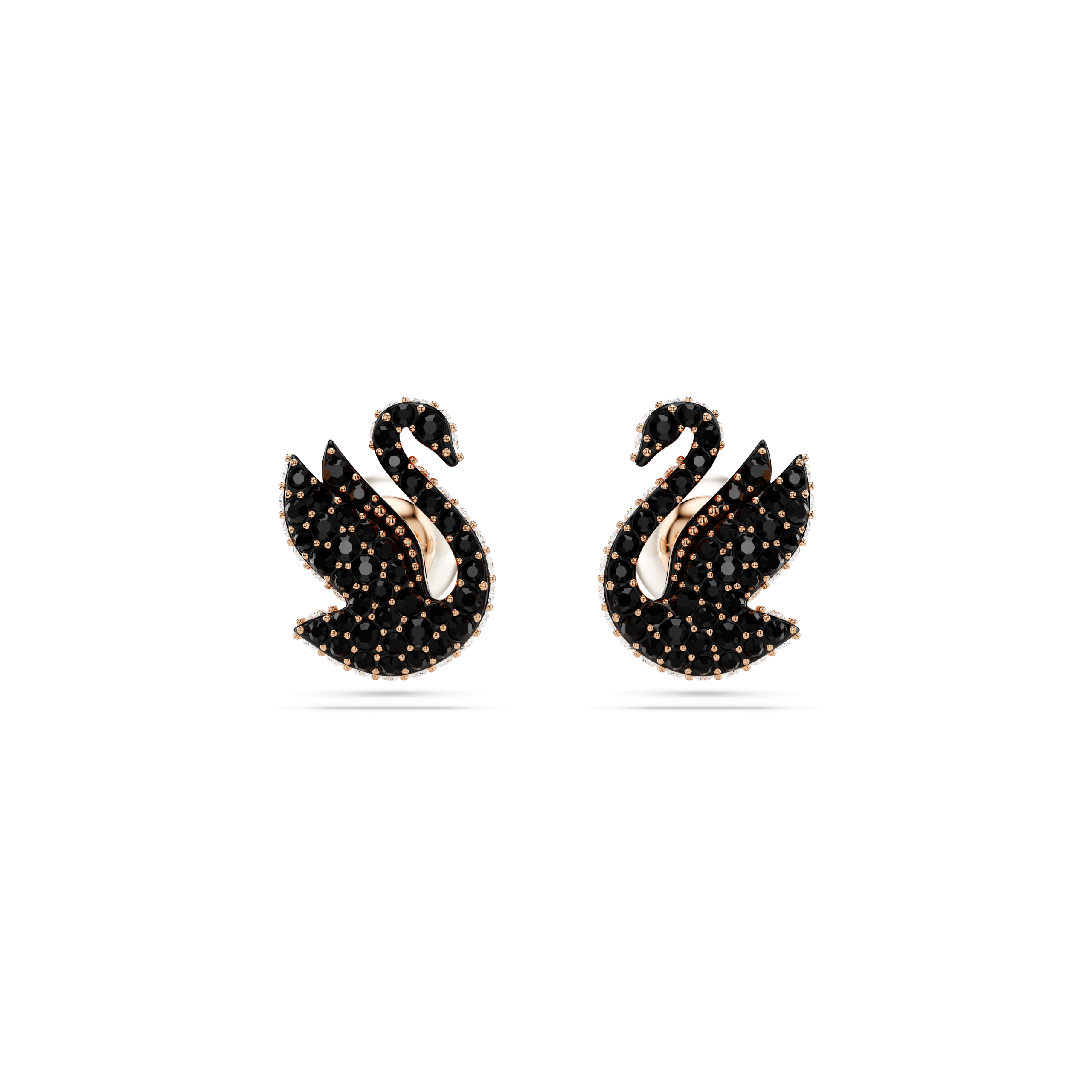 SWAN:PE PRL RC06/ROS