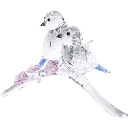 BLUE TITS BIRD COUPLE