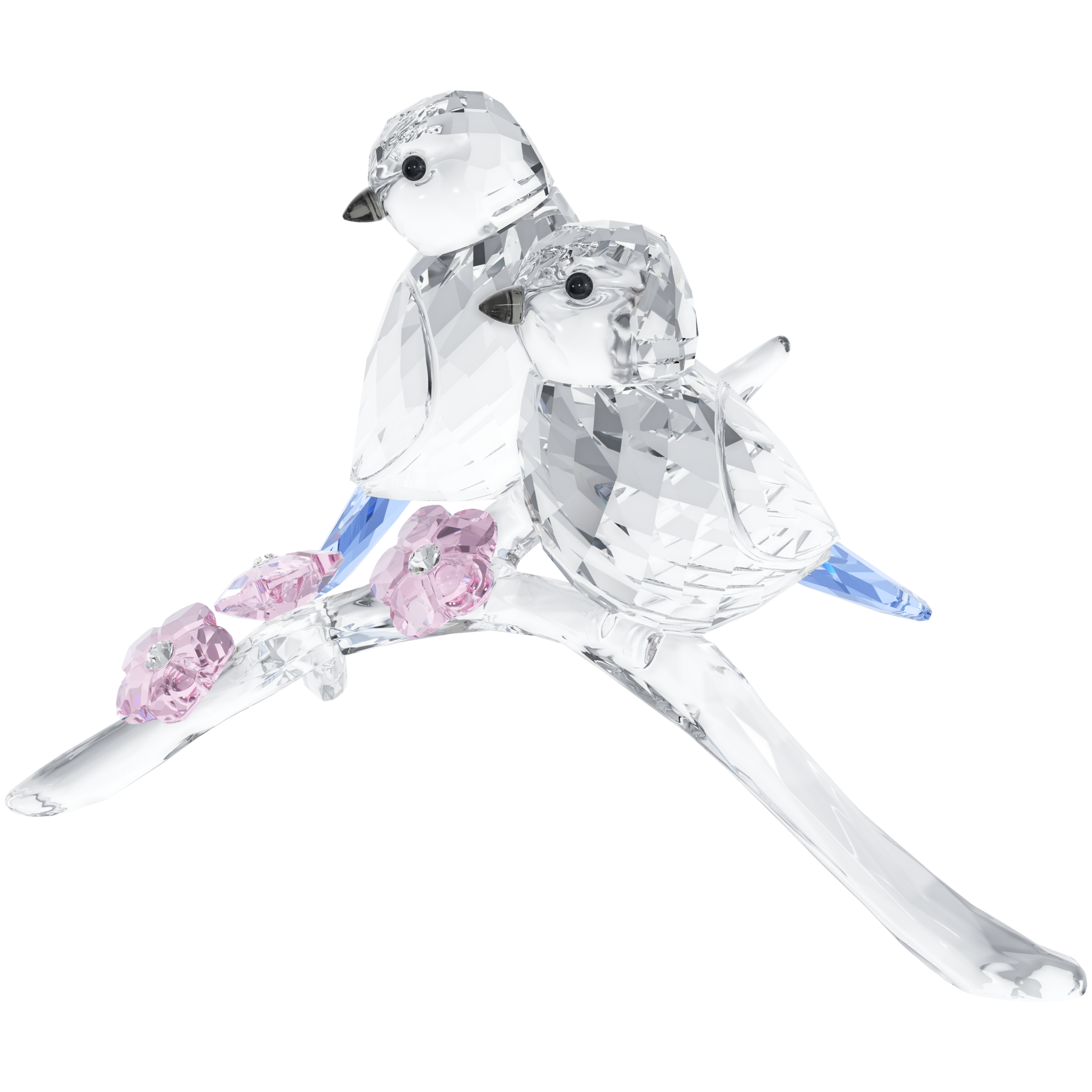 BLUE TITS BIRD COUPLE