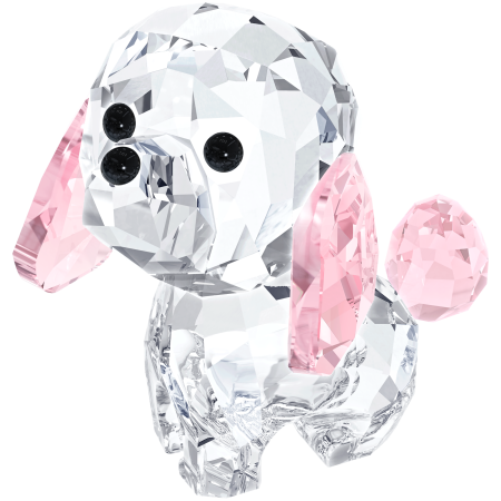 PUPPY-ROSIE THE POODLE