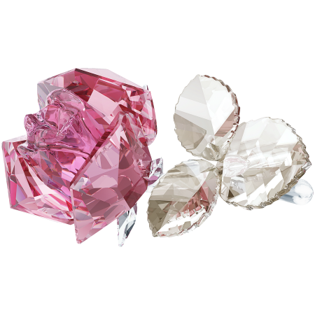 BLOSSOMING ROSE,LIGHT PINK