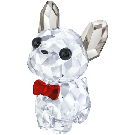 PUPPY - BRUNO THE FRENCH BUL