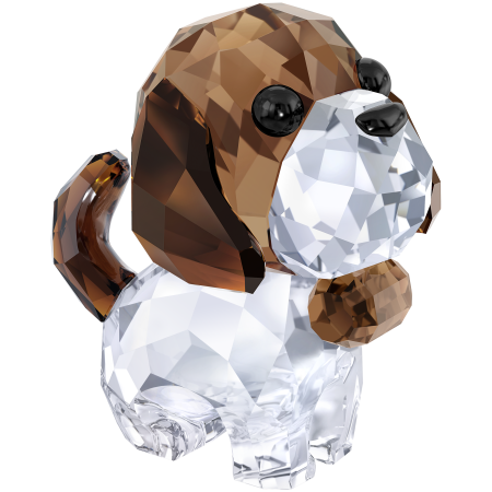 PUPPY - BERNIE THE SAINT BER