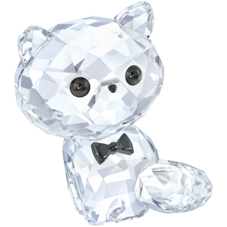 KITTEN - CORNELIUS THE PERSI