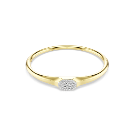 DEXTERA:BANGLE TAG CRE/GOS L